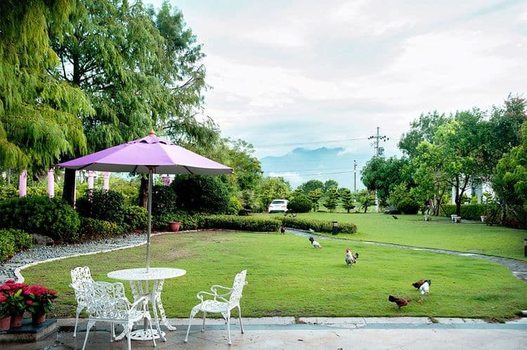 Lotus Spring Garden Huajian Yashe-6