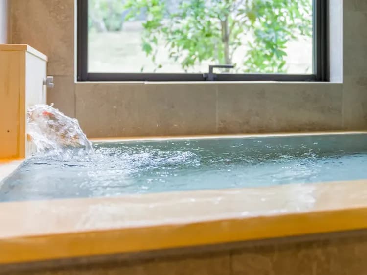 天然温泉（かけ流し可）