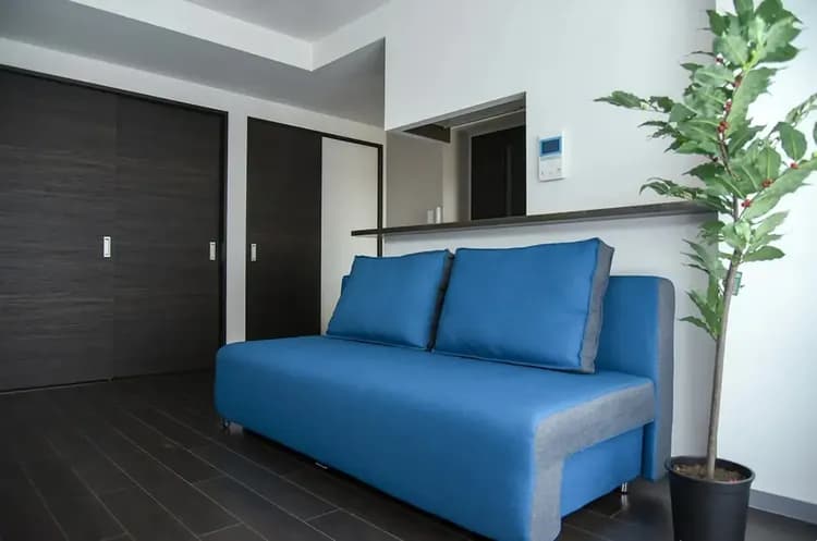 ソファは広げるとベッドになります