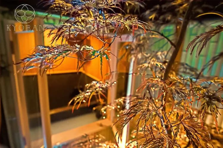 【京町風】復古瑠安邸｜近平安神宮/半露天浴池-20