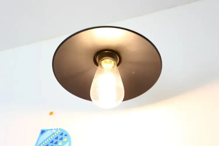 太陽河 稻穗-1-19