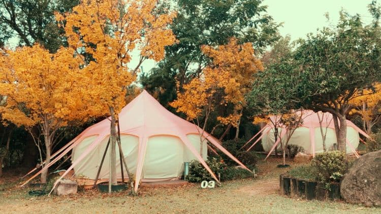 寨酌然野奢庄園｜親子野趣露營、一泊二食-1