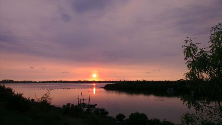 前方河堤自行車道(台江國家公園濕地)riverside (wetland of Taijiang National Park) near the house