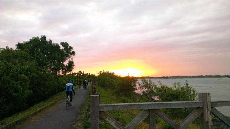 前方河堤自行車道(台江國家公園濕地)riverside (wetland of Taijiang National Park) near the house