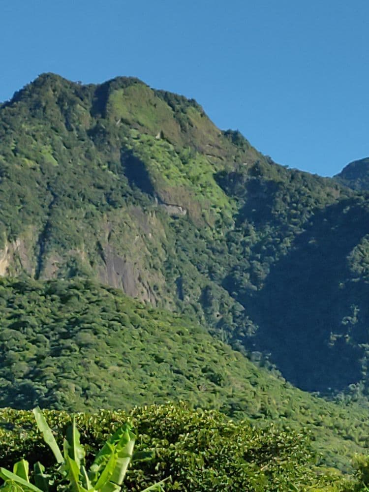 金剛大道民宿-13