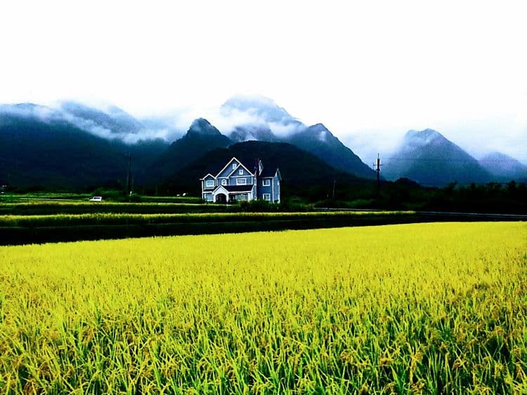 金剛大道民宿-11