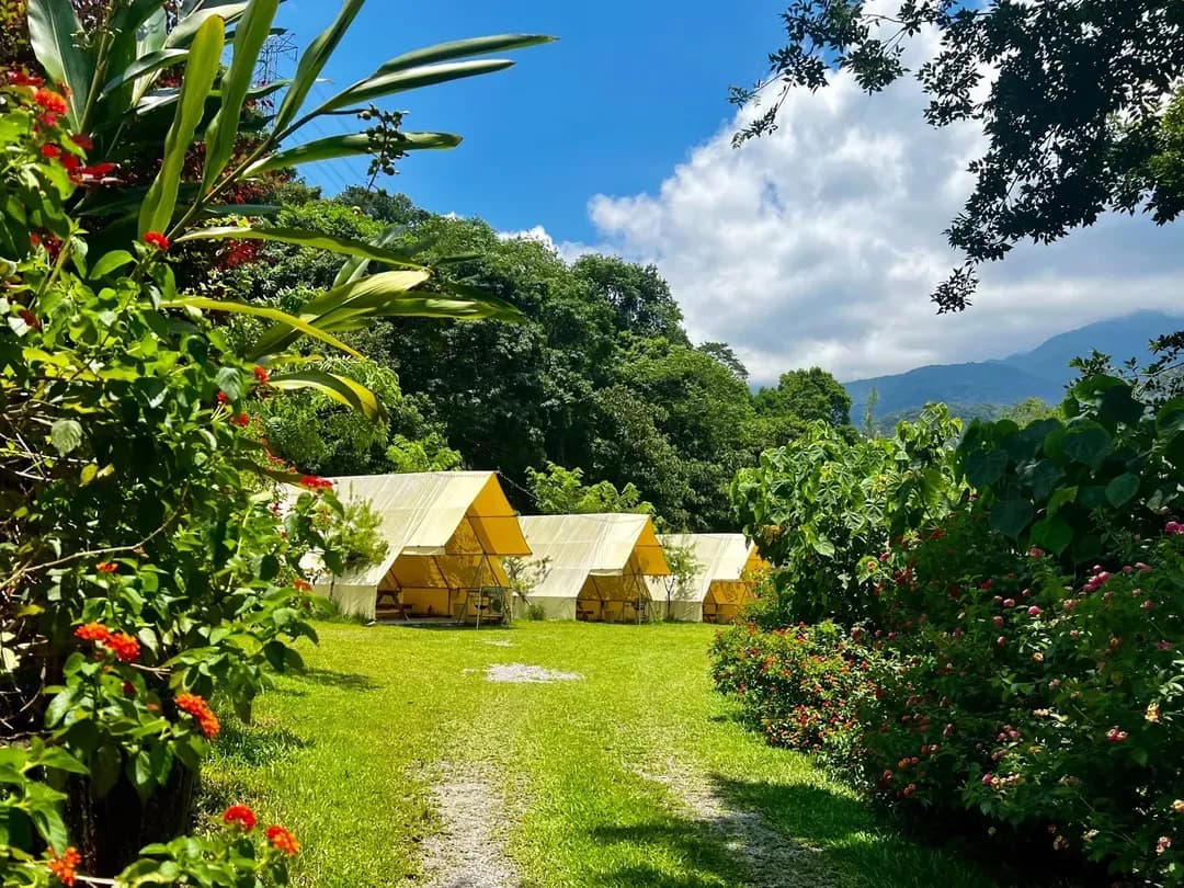 台中市-呆呆的家｜獨家6折起！六星級衛浴、高山星空秘境、附烤肉設備