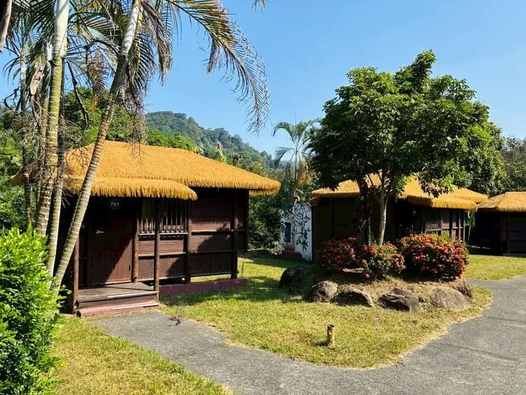 特色竹屋風情，感受緩慢步調