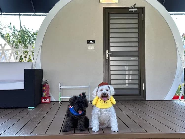 STAR&MOON GUEST HOUSE-14