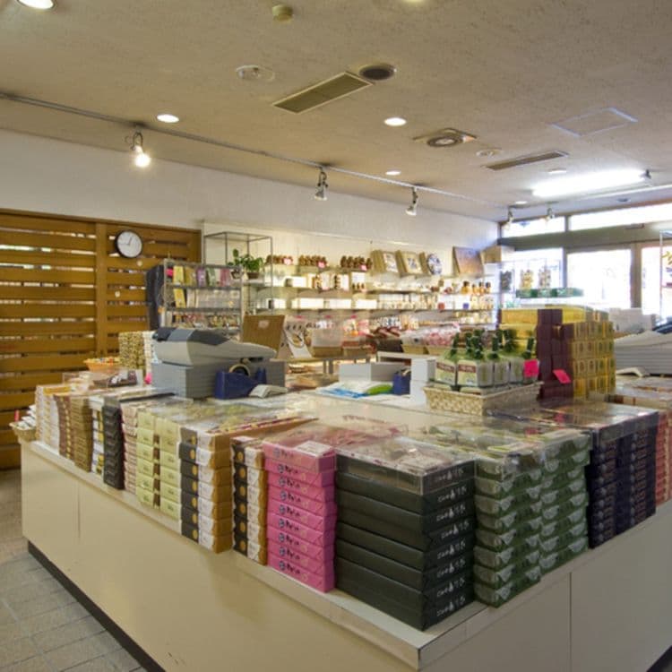 日光溫泉旅館 清晃苑｜東照宮步行5分/露天溫泉-16