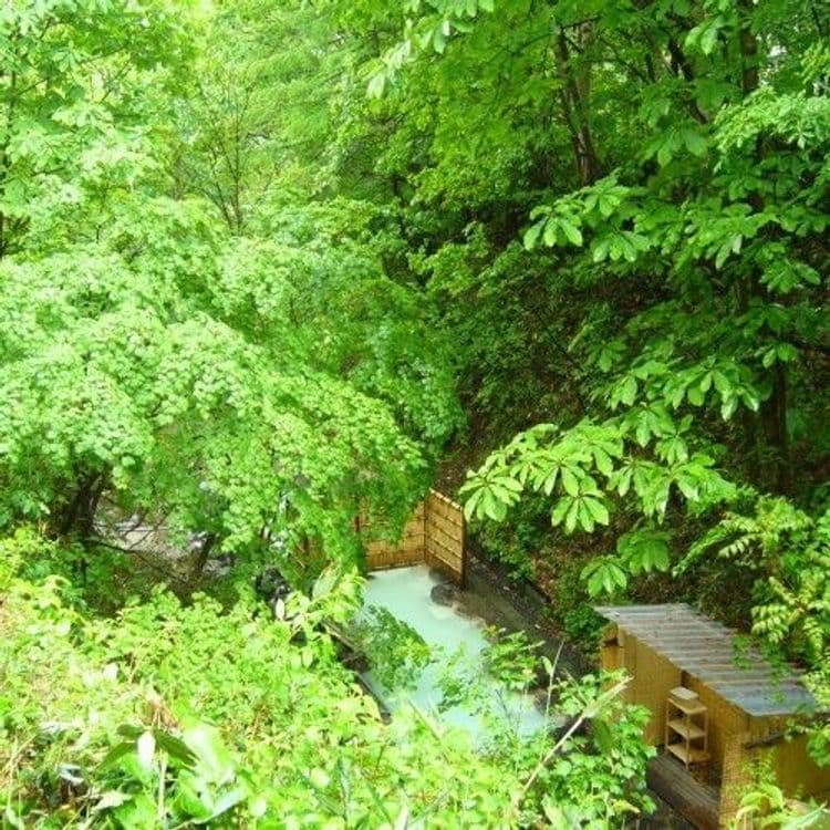 Zao Onsen Sakaiya Mori no Hotel Wald Berg-14