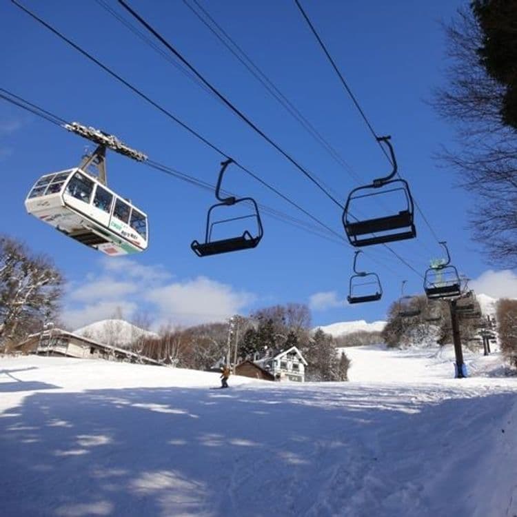 Zao Onsen Sakaiya Mori no Hotel Wald Berg-15