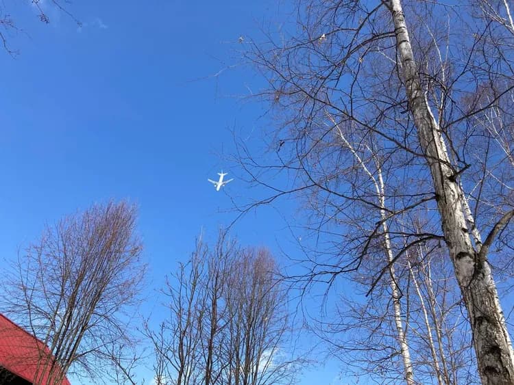 N-假期小屋｜白金青池開車17分，近四季彩之丘-19