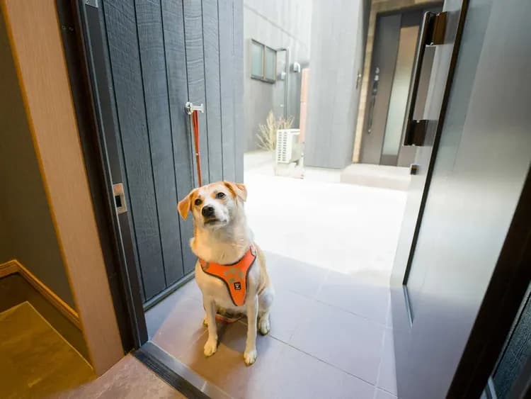 【ペット可・一棟貸ヴィラ】リードフックを完備した玄関