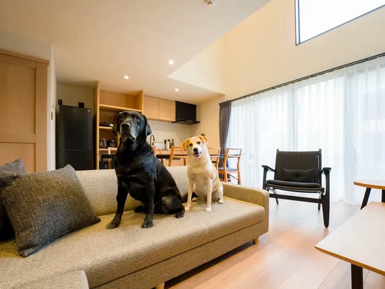 【ワンちゃんとお出かけ/D棟】ペット可のお部屋はワンちゃん連れでご利用いただけます