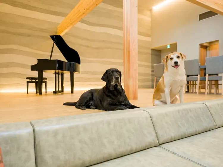 【ワンちゃんとお出かけ/A棟】ペット可のお部屋はワンちゃん連れでご利用いただけます