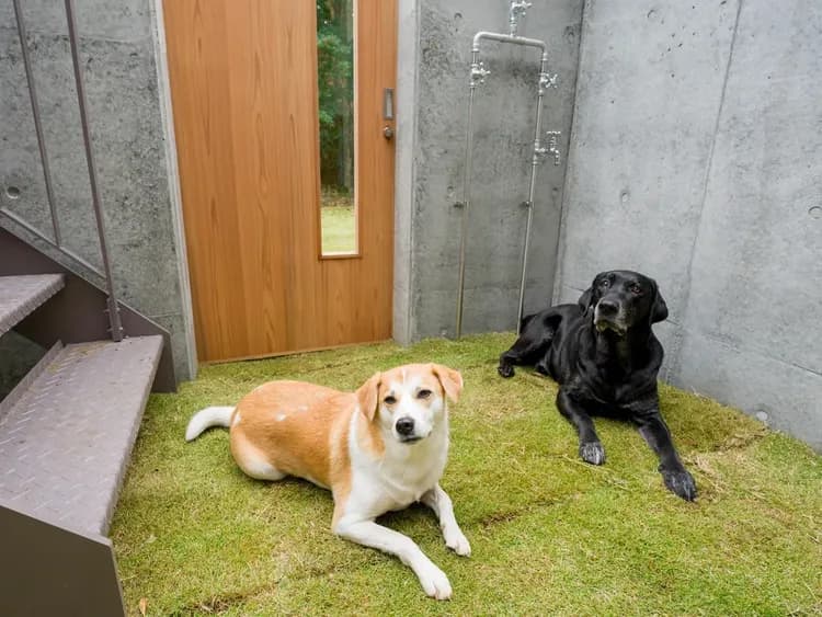 【ワンちゃんとお出かけ/A棟】ワンちゃん連れに安心！芝生敷きのドッグラン