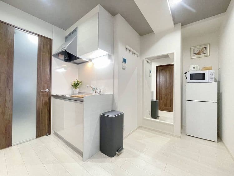 DRY:Near Dotonbori, Nipponbashi & Namba station-4