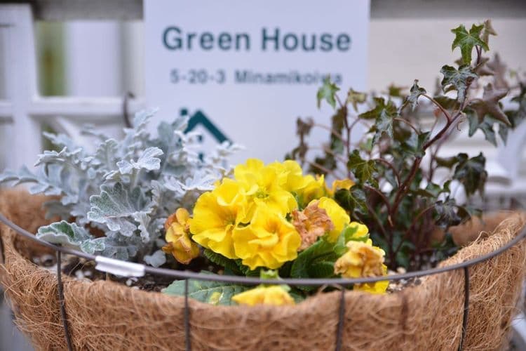 綠之苑｜小岩站步行11分/直達新宿站-7