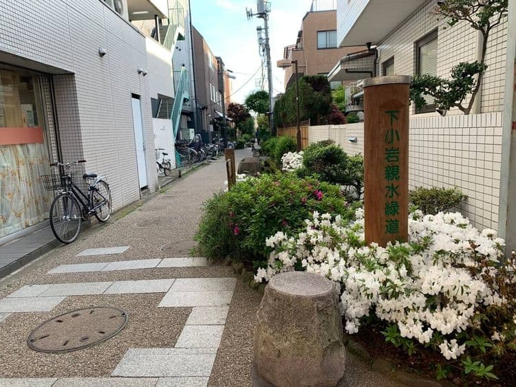 綠之苑｜小岩站步行11分/直達新宿站-11