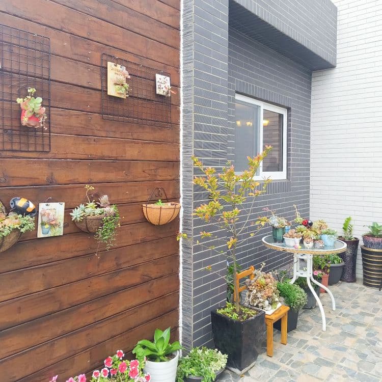 Penghu Pin Cheng BNB-8