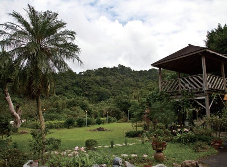 산차이 영지 팜 베드 앤 브렉퍼스트 (Sancai Ganoderma Farm Bed and Breakfast)-7