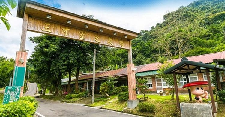 산차이 영지 팜 베드 앤 브렉퍼스트 (Sancai Ganoderma Farm Bed and Breakfast)-2