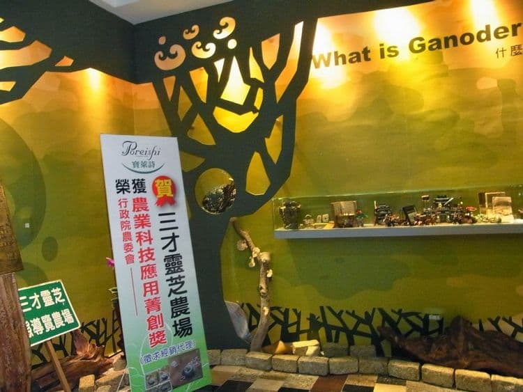 산차이 영지 팜 베드 앤 브렉퍼스트 (Sancai Ganoderma Farm Bed and Breakfast)-13