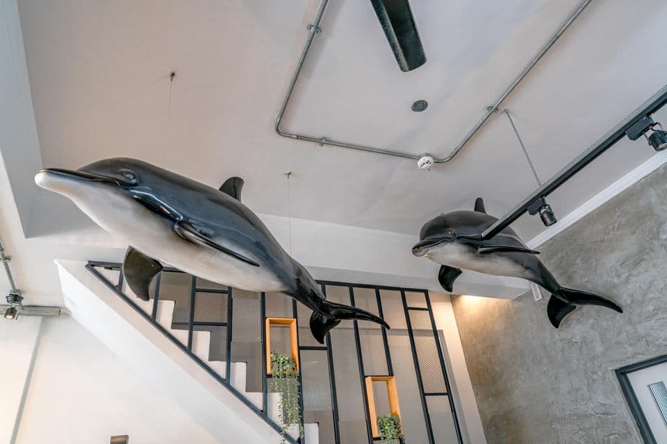 藍屋民宿｜花蓮4-12人包棟｜網美質感風｜寵物友善｜吧台式廚房＆KTV＆電動麻將-8