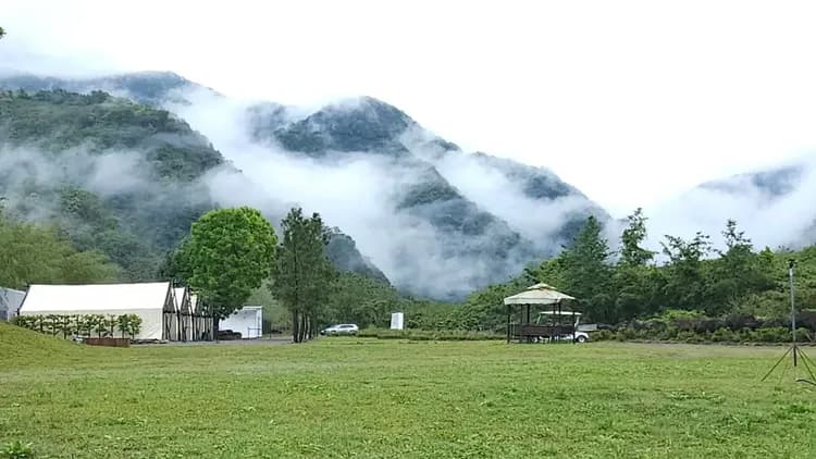 薄霧輕輕飄渺，為大草原披上一層神秘的面紗