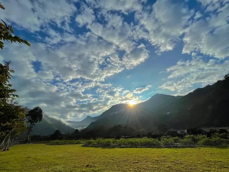 陽光灑落在草地上，帶來溫暖的光輝與舒適