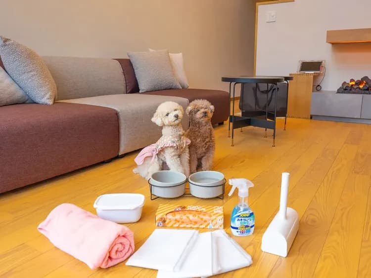 【ペットフレンドリールーム】ペット用消耗品を常備、ワンちゃん連れでも荷物が多くならず快適な旅行に♪（客室内イメージ）