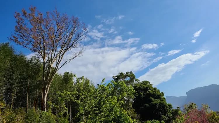 山林間－露營.旅居 | 原住民部落、生活機能便利-18