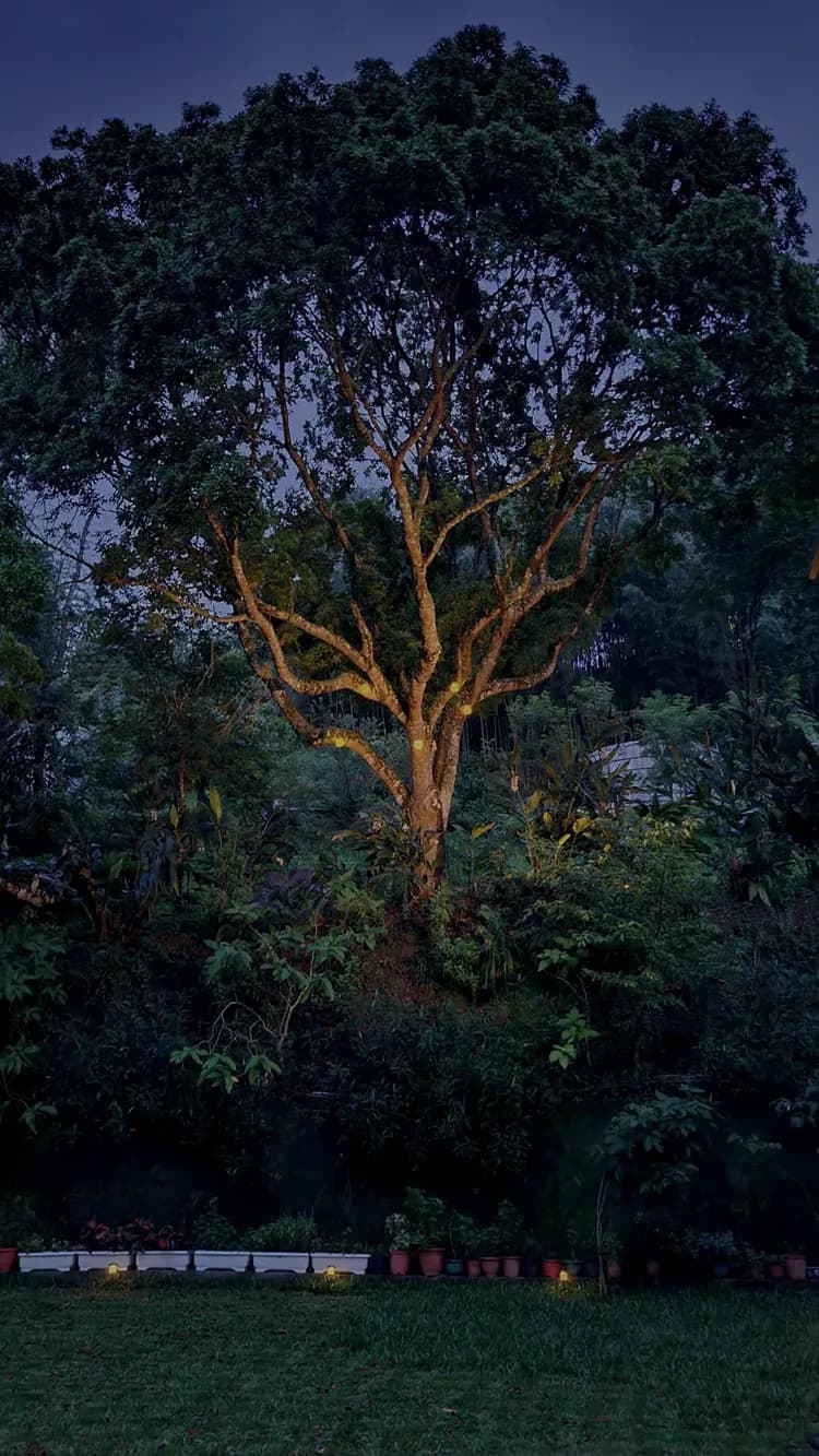 山林間－露營.旅居 | 原住民部落、生活機能便利-12