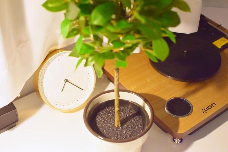 Tune Inn 惠比壽｜惠比壽站步行10分-2