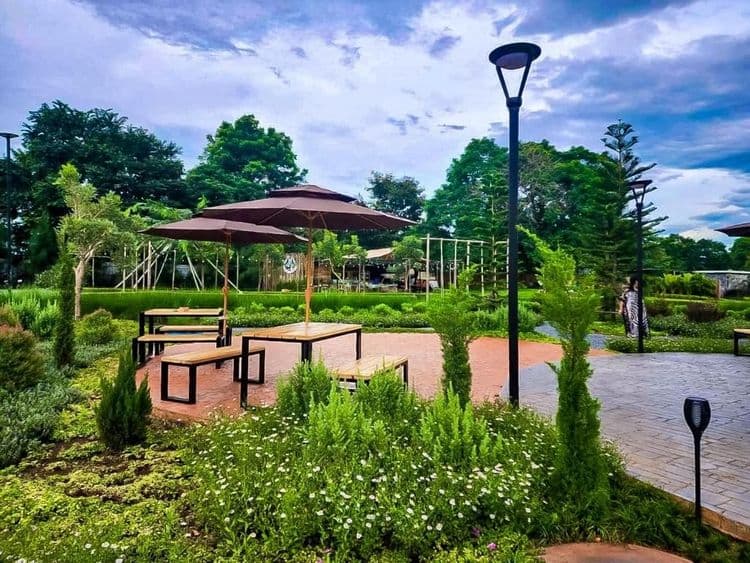 考艾山豪華露營 (Glamping Hill Khaoyai)-3