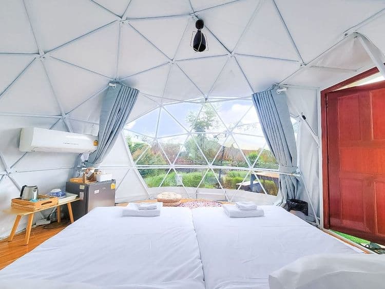 考艾山豪華露營 (Glamping Hill Khaoyai)-8