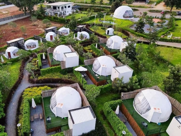 考艾山豪華露營 (Glamping Hill Khaoyai)-7