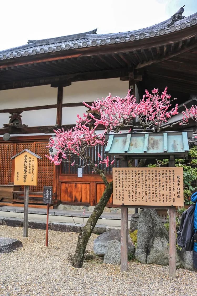 脇本民宿 奈良明日香村｜250年歷史古民家 近飛鳥站 天武・持統天皇陵-11