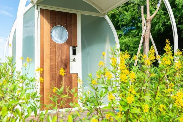 Manman Bald Pine Panna Cotta Manor-5