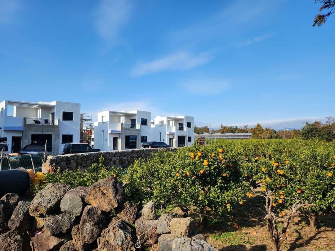 濟州特別自治道-有時。濟州｜表善海灘車程10分鐘