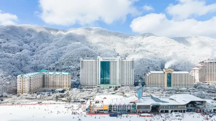 【首爾出發】洪川大明SONO滑雪度假村兩天一夜｜贈冰雪樂園門票