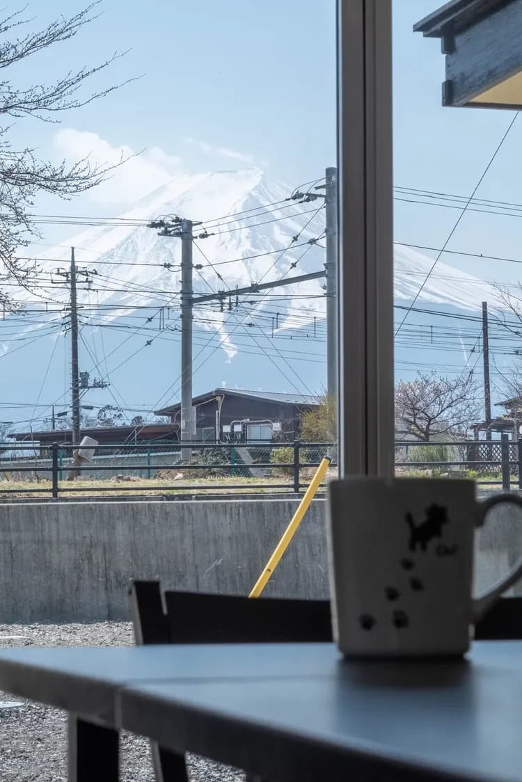 Villa Fuji Irodori-10