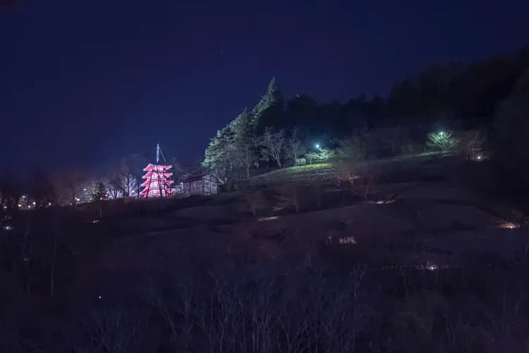 Villa Fuji Irodori-20