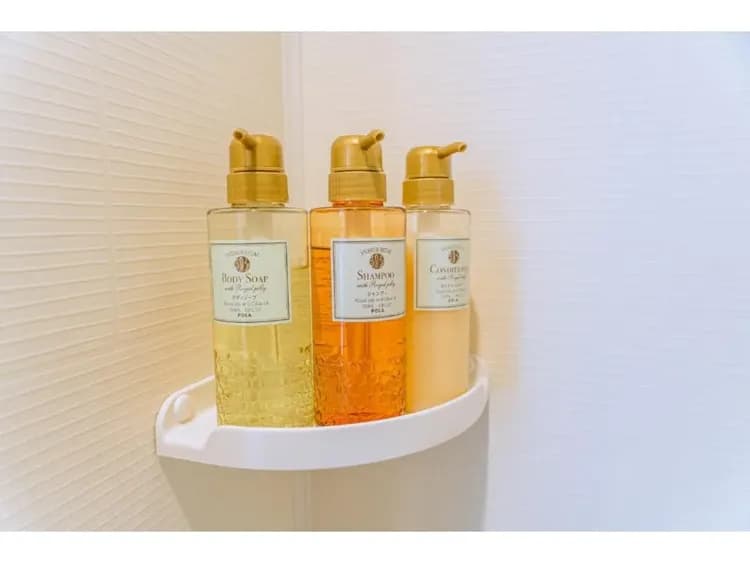 Megufuji 2021-5｜富士山站步行1分/富士山景-17