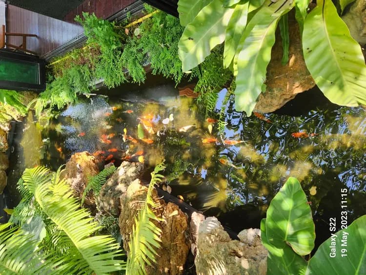 芭堤雅班能考渡假村 (Baan Nern Khao Resort Pattaya)-17