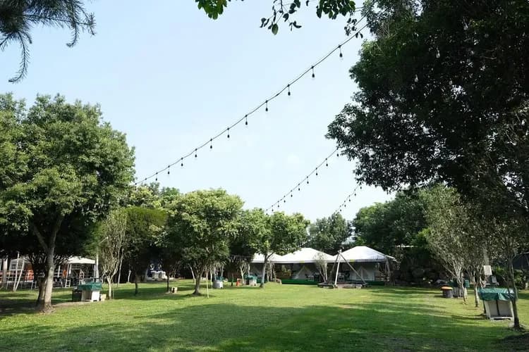 埔里桂花庭生態營地｜南投懶人露營、CP值高-13