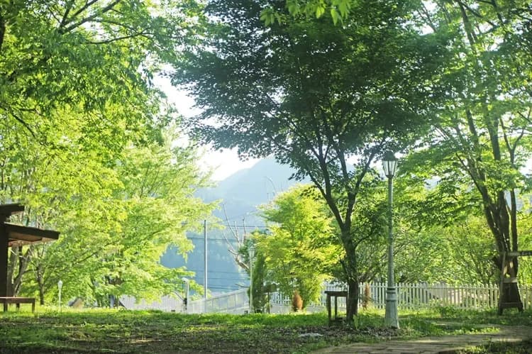 綻放咖啡屋｜常陸太子站步行7分/蒟蒻神社旁-9