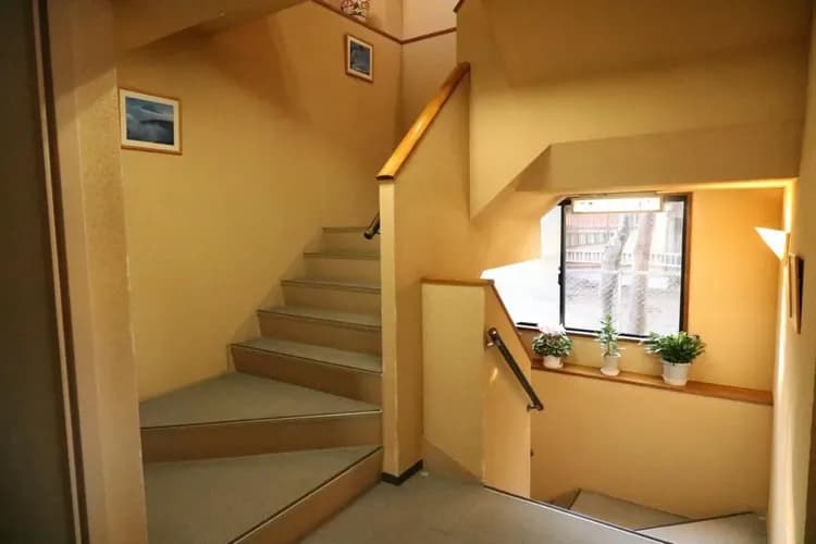 ワカミズソウ-10