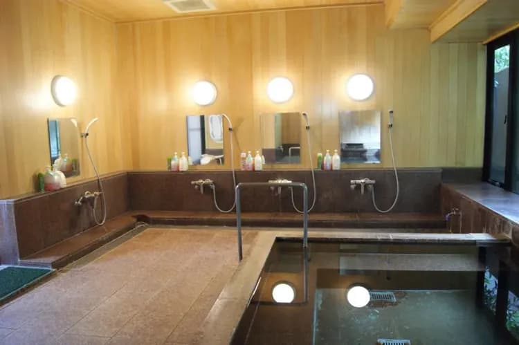 ワカミズソウ-12